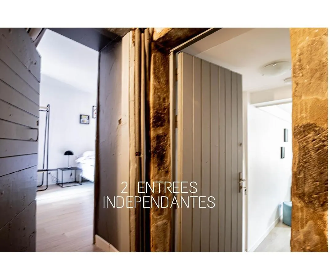 Amnesia Old Town Apartment Annecy