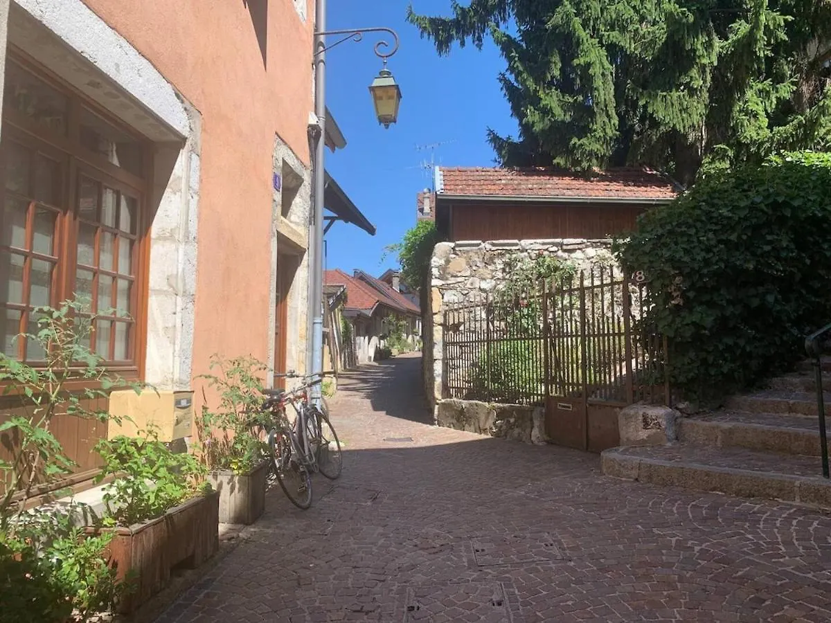 Amnesia Old Town Apartment Annecy