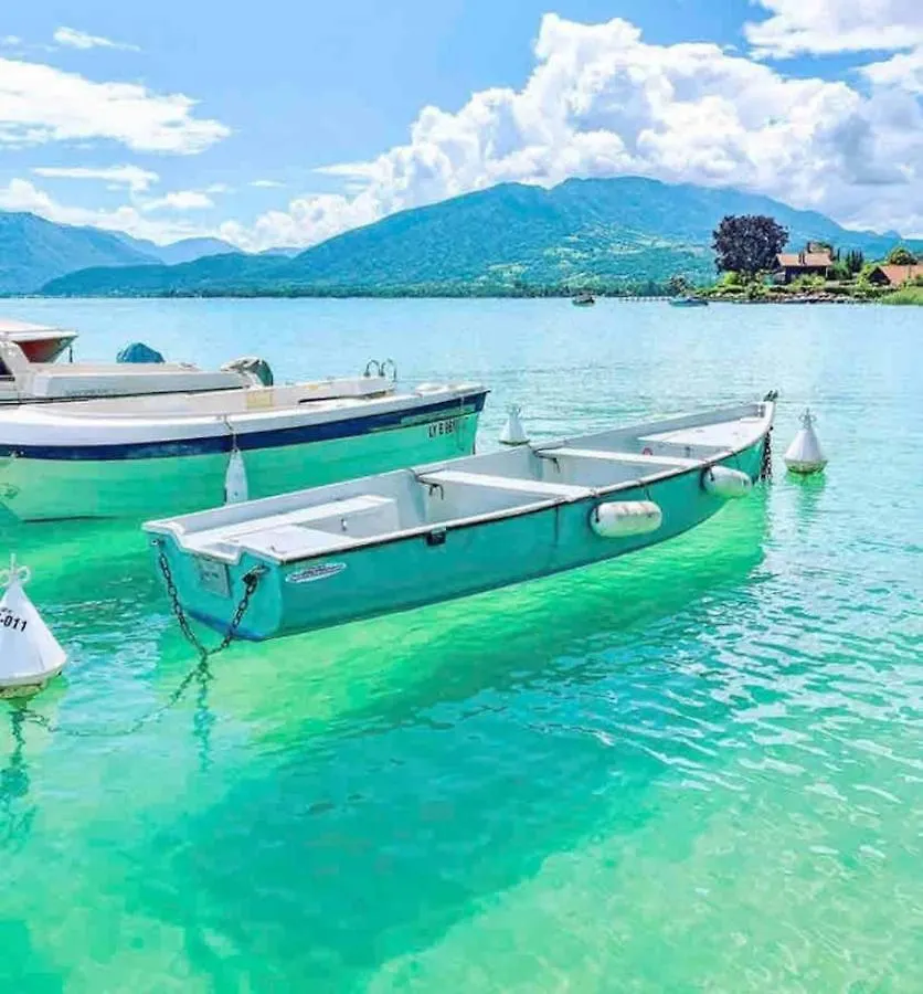 Amnesia Old Town Apartment Annecy